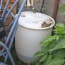 Barrell ..X TWO Image 2