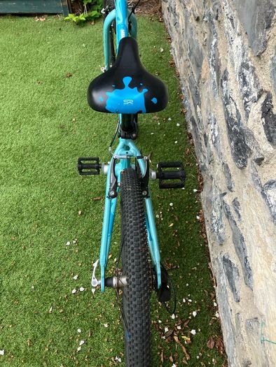 Squish 24 inch kids bike