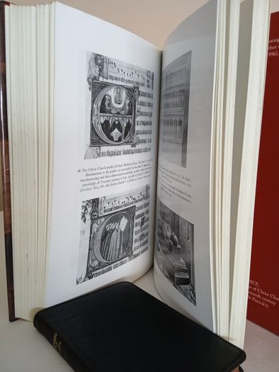 Christ Church Cathedral, Dublin: A History Edited by Kenneth Milne (GT484)