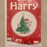 Christmas Card Harry Image 2