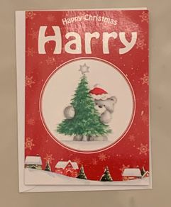 Christmas Card Harry