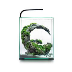Aquael Shrimp Set Day&night 30l White
