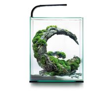 Aquael Shrimp Set Day&night 30l Black
