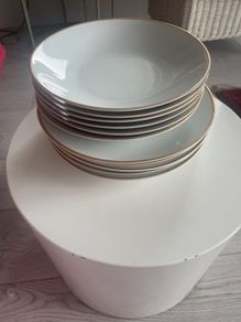 Vintage Top Quality MZ Czech  Dinner Ware