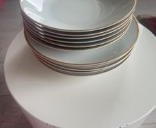Vintage Top Quality MZ Czech  Dinner Ware