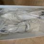 Wedding Shoes Image 5
