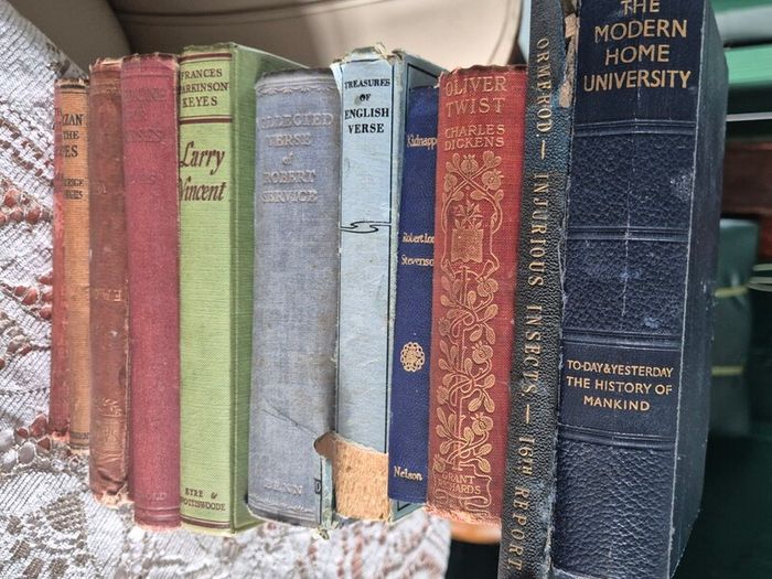 11 Vintage old books