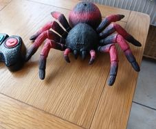 Terra Remote Control Tarantula