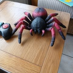 Terra Remote Control Tarantula