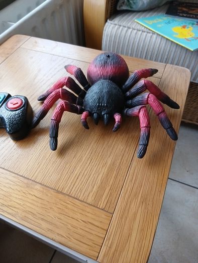 Terra Remote Control Tarantula