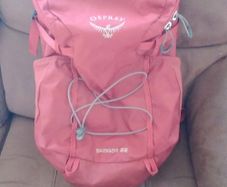 Osprey skarab 22 rucksack