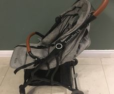 Folding Travel Buggy