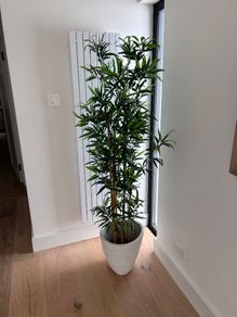 Artificial Bamboo Plant 180cm