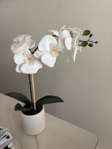 Artificial Orchid