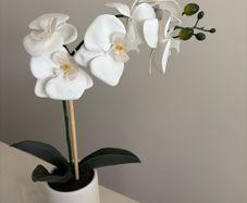 Artificial Orchid
