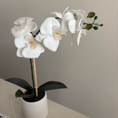 Artificial Orchid