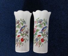 Aynsley Pembrook Vases