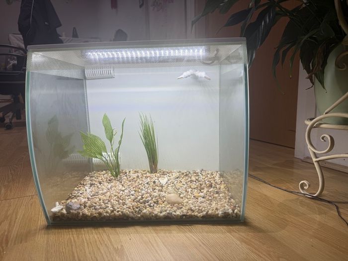 Fish tank