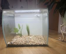 Fish tank