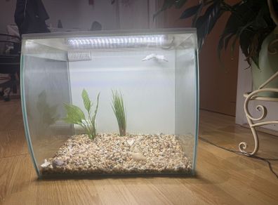 Fish tank