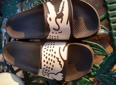 Lacoste flip flops New