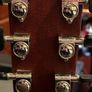 Cort CJ 5X Jumbo Guitar with Yamaha G10 Midi Pickup Image 5