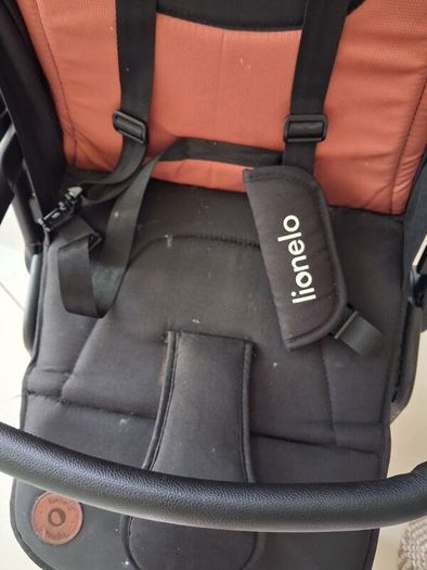 travel buggy