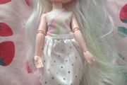 rainbow high doll