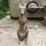 Brass kangaroo Image 3