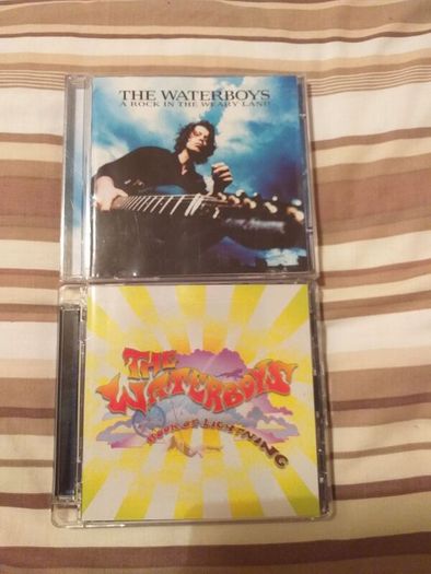The Waterboys.