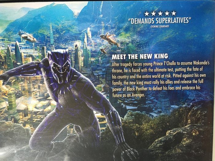 Black Panther (Marvel) [2018] Chadwick Boseman, Michael B. Jordan & Lupita Nyong'o [Movie DVD]