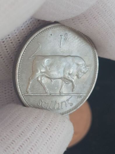 1966 specimen coin set