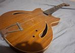 1960's Regina slim body Arctoptop electric Acoustic