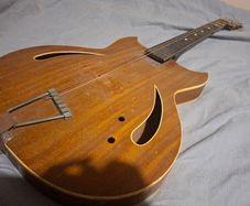 1960's Regina slim body Arctoptop electric Acoustic