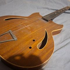 1960's Regina slim body Arctoptop electric Acoustic