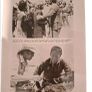 JAWS 2 - Press Kit With Photos - 1978. Image 6
