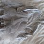 Girls clothing bundle girls aged 2-3 Image 7