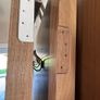 Doors Image 3