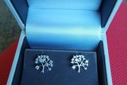 925 silver earrings