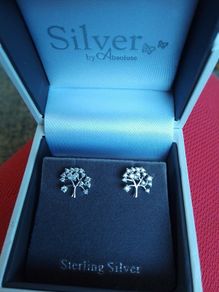 925 silver earrings