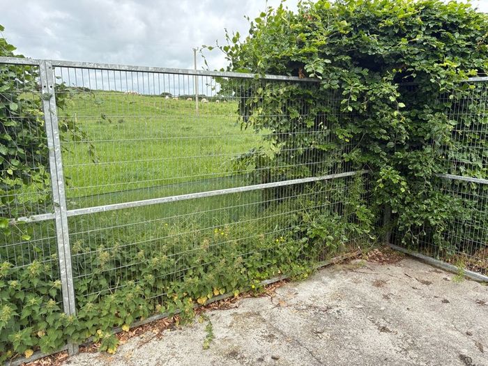 dog pen