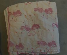 Laura Ashley Curtains/Duvet