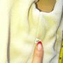 Gold Puffer Pet Jacket / Cat & Small Dog Coat. Size S Image 2