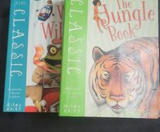 pair of childrens story books