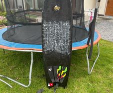 Fish SurfBoard (Rare)