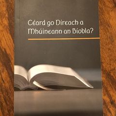 Ceard go Direach a Mhuineann an Biobla? What exactly does the Bible teach?  (Irish Edition) Jehovah's Witnesses  Irish Language Book Gaeilge