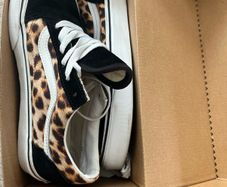 vans