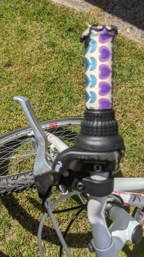 Raleigh Krush 24" girls bicycle