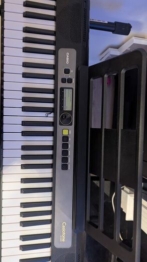 Casio Electric keyboard and stand