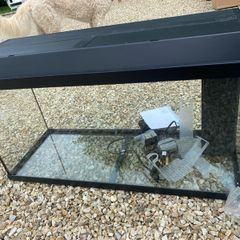 Juwel Aquarium